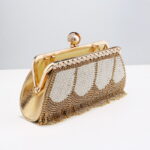 New Fringed Evening Bag Ladies High End Dress Evening Bag Diamond Portable Banquet All Match Bag - imagine 7