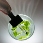 Rainforest Omega Rich Oil Serum, 30ml - imagine 2