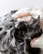 Gift Set SPORT for Men