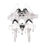 Black and White Embroidered Flower Sexy Lingerie Set with Leg Garters - Three Piece Set - imagine 4