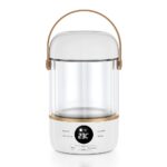 110V220V Smart Electric Stew Cooker Personal Portable Electric Stew Pot - imagine 5