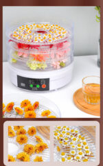Household Fruit Dehydrator Food Small Foodstuff Dryer - imagine 7