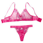 Two piece set of sexy lingerie with butterfly knot floral embroidery and mesh stitching