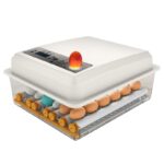 Fully Automatic Home Intelligent Incubator - imagine 5