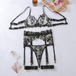 Sexy hollow underwear four piece set ultra-thin mesh see through erotic bra set - imagine 6