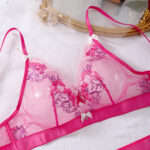 Two piece set of sexy lingerie with butterfly knot floral embroidery and mesh stitching - imagine 2