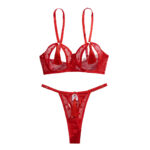 Three point sexy tassel style perforated lingerie two-piece set for women with steel rims