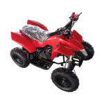 Children's Beach Two Stroke Petrol Off-road Motorcycle Infinite Speed Four Wheels - imagine 8