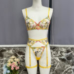 Transparent Floral Embroidered Lingerie Set - Exquisite and Sexy Underwear - imagine 7