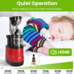 1Pc Cold Press Juicer Machine 300W Electric Slow Masticating Juicer For Whole Vegetable And Fruit With Reverse Function 2 Containers Cleaning Brush Clear Marks Easy Cleaning Fedex Shipping - imagine 6