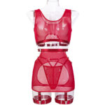 Seductive Transparent Sexy Mesh Top Women's Lingerie Four-Piece Set - imagine 7