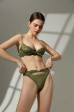Sexy Lace Underwear  Ultra-thin Embroidered Large Bust Minimizer Push-up Bra Cross-border Bra Set - imagine 7