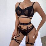 Spring and Summer Fashion Lace Complex Craft Gathered Hollow-out Mesh Sexy Lingerie Four-piece Set for Women - imagine 3