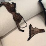Sexy Women's French Thin Leopard Lace Bra Set for Large Breasts, Minimizing and Anti-Sagging Underwear - imagine 9