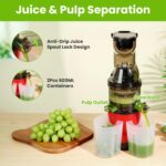 1Pc Cold Press Juicer Machine 300W Electric Slow Masticating Juicer For Whole Vegetable And Fruit With Reverse Function 2 Containers Cleaning Brush Clear Marks Easy Cleaning Fedex Shipping - imagine 5